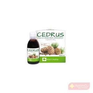 Cedrus - Olej z orzechów cedrowych 100ml